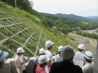 img (17)
